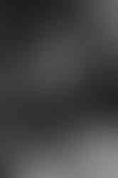 Bugs - Photo By Kelsey Doyle