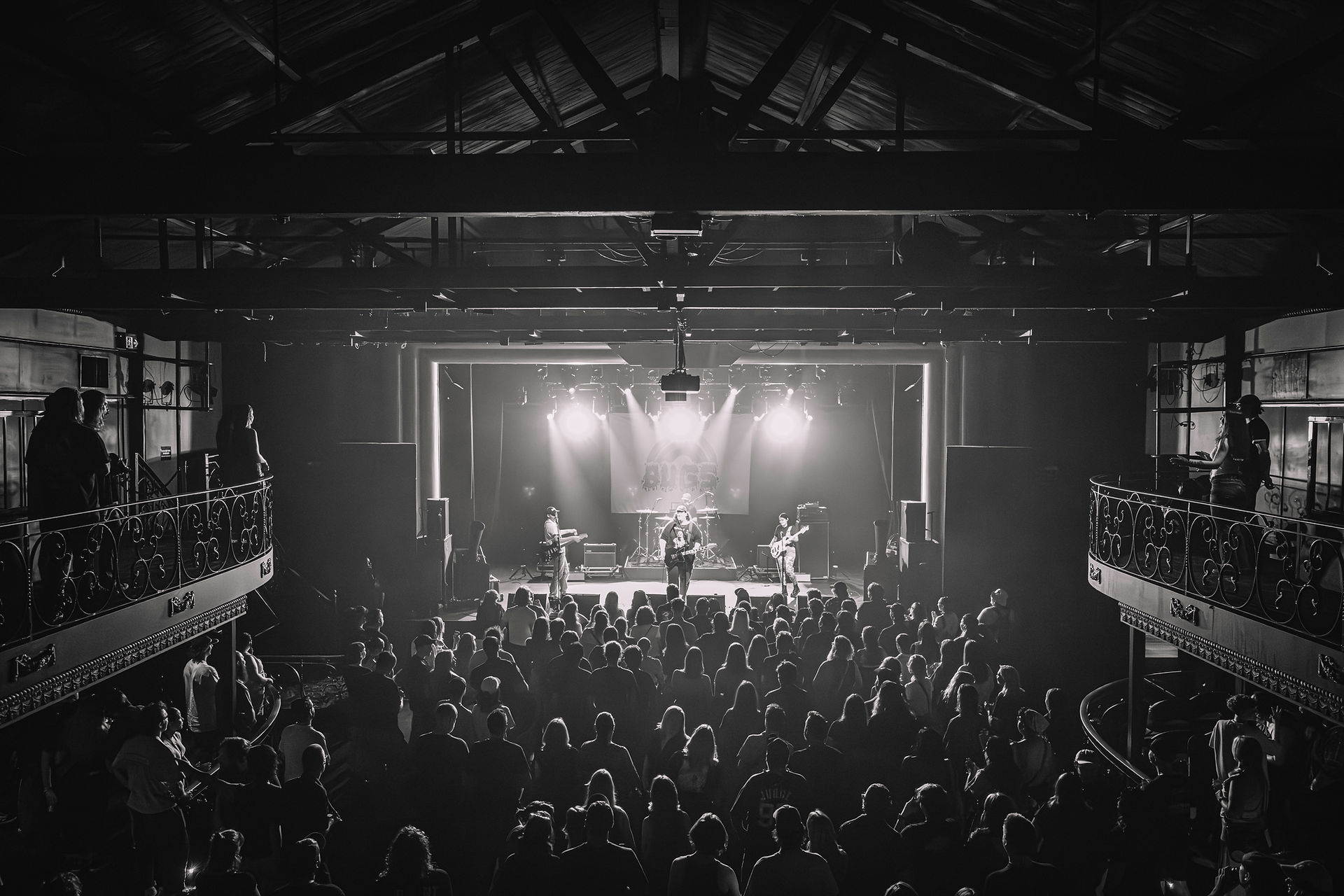 Bugs - Photo By Kelsey Doyle