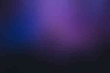 Bugs - Photo By Kelsey Doyle