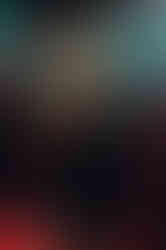 Bugs - Photo By Kelsey Doyle