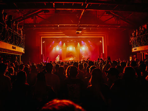 Bugs Band Brisbane, Saving A Bugs Life Festival