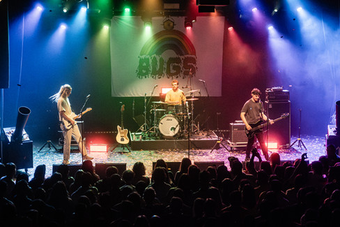 Bugs - Photo By Kelsey Doyle