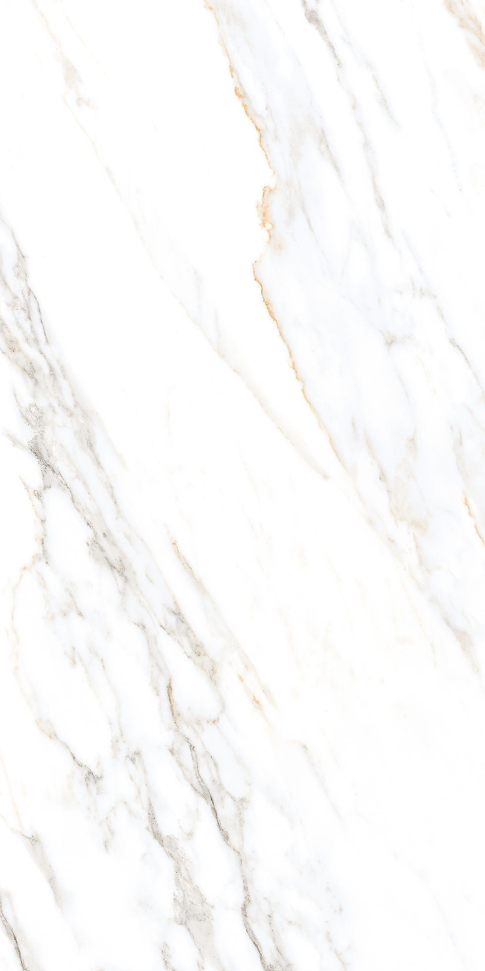 Thumbnail: Alabaster White 24x48