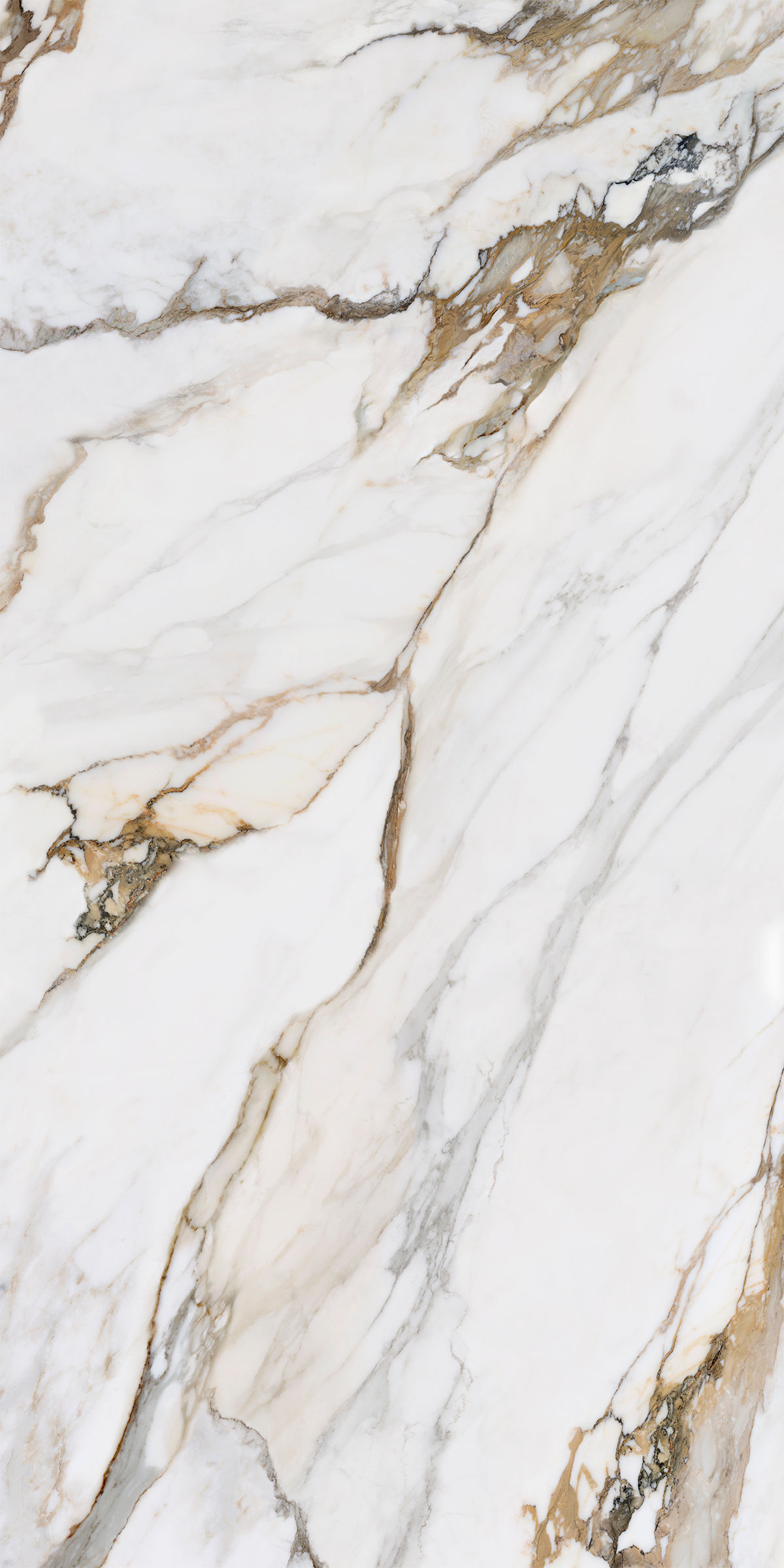 Macchia Antica 24x48