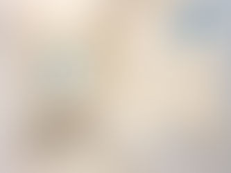 【新築】名古屋市緑区緑花台 4LDK 3999万円 新築一戸建て 仲介手数料無料!