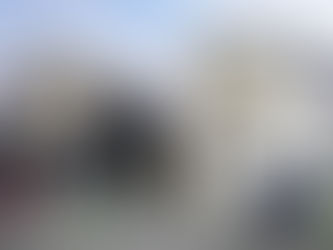 【新築】名古屋市中川区下之一色町字松蔭 4LDK 3399.4万円 新築一戸建て 仲介手数料無料!