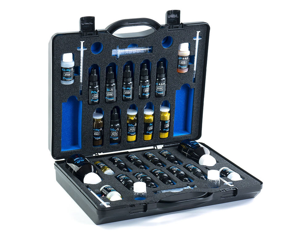 Reagent transportation case