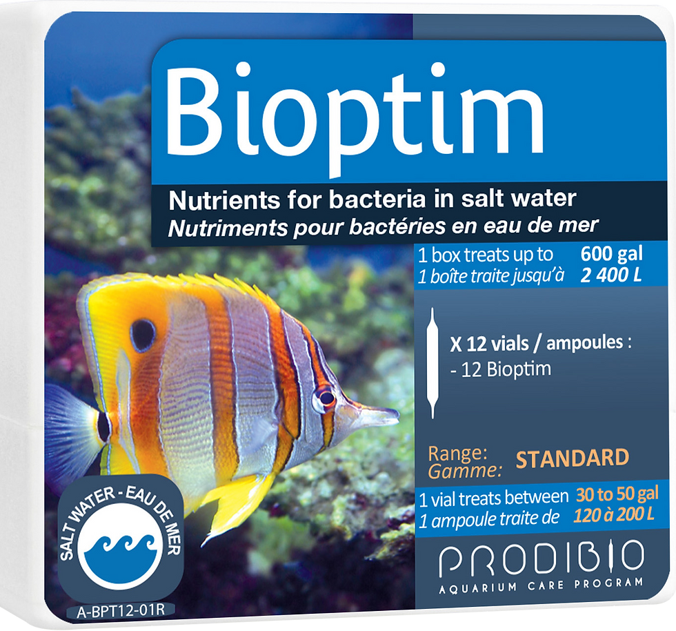 WS Bioptim - 12 vials - Marine
