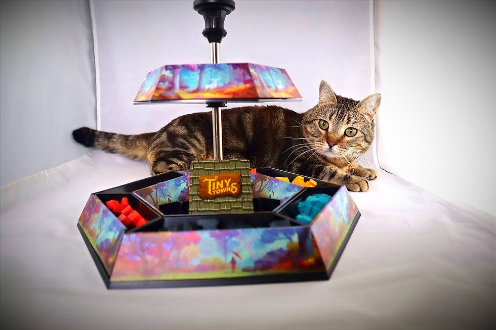 Pudgy Cat with Tiny Towns