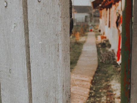 love in the time of covid-19