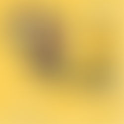 🌟VIA LUCIS🌟 - 🍽CENA CON DELITTO👀