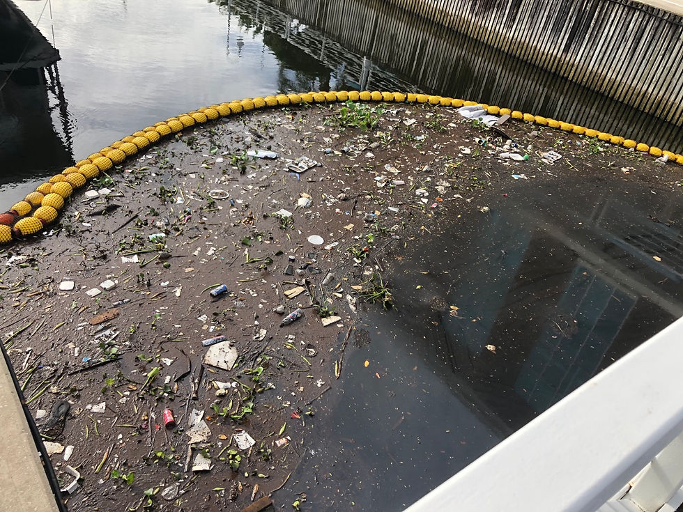 Harborage Marina- Bayboro Harbor Watergoat Cleaning