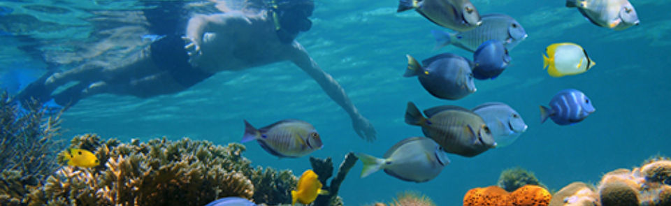 9D572081-4906-4EA2-B2C0-34685A81B5F2_L0_001-9_15_2024, 4_53_21 PM.jpg