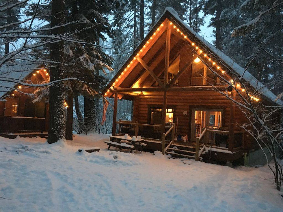 A cabin in the winter with holiday lights covered in snow.