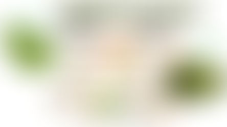 BLOG/ VIDA-ENERGÍA-VERPYME