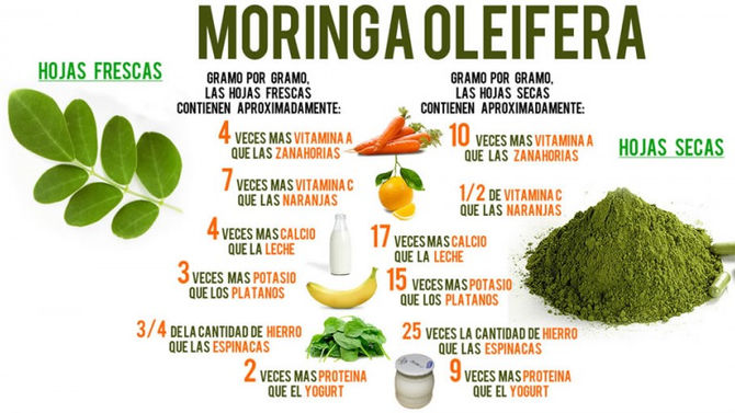 BLOG/ VIDA-ENERGÍA-VERPYME