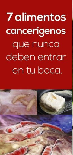 ALIMENTOS CANCERIGENOS