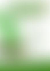 ALGUNOS DE LOS BENEFICIOS DE CONSUMIR MORINGA EN POLVO O CAPSULAS.