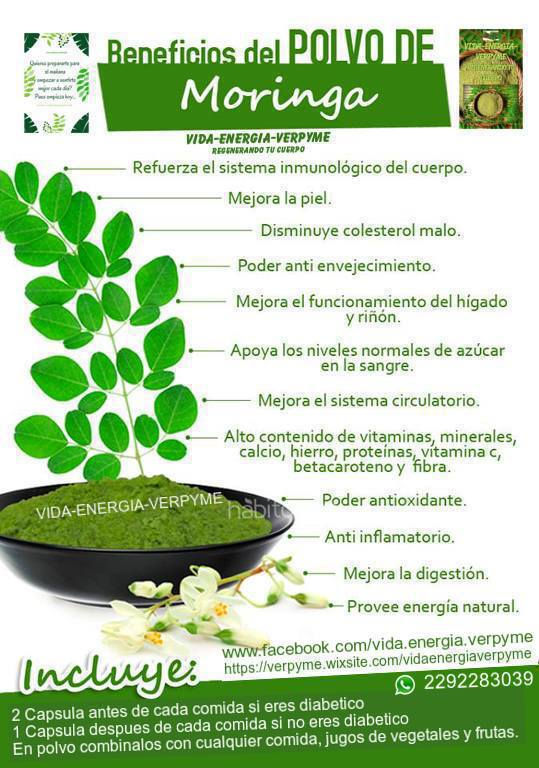 ALGUNOS DE LOS BENEFICIOS DE CONSUMIR MORINGA EN POLVO O CAPSULAS.