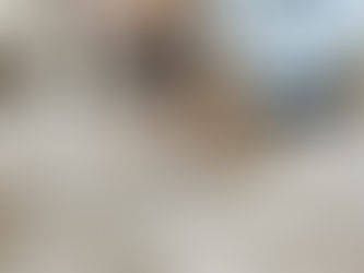 How to Choose the Right French Bulldog Puppy in Texas (What Most Breeders Won’t Tell You)