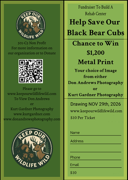 Raffle Ticket To Support Black Bear Cubs (Will Text You Your Tickets)