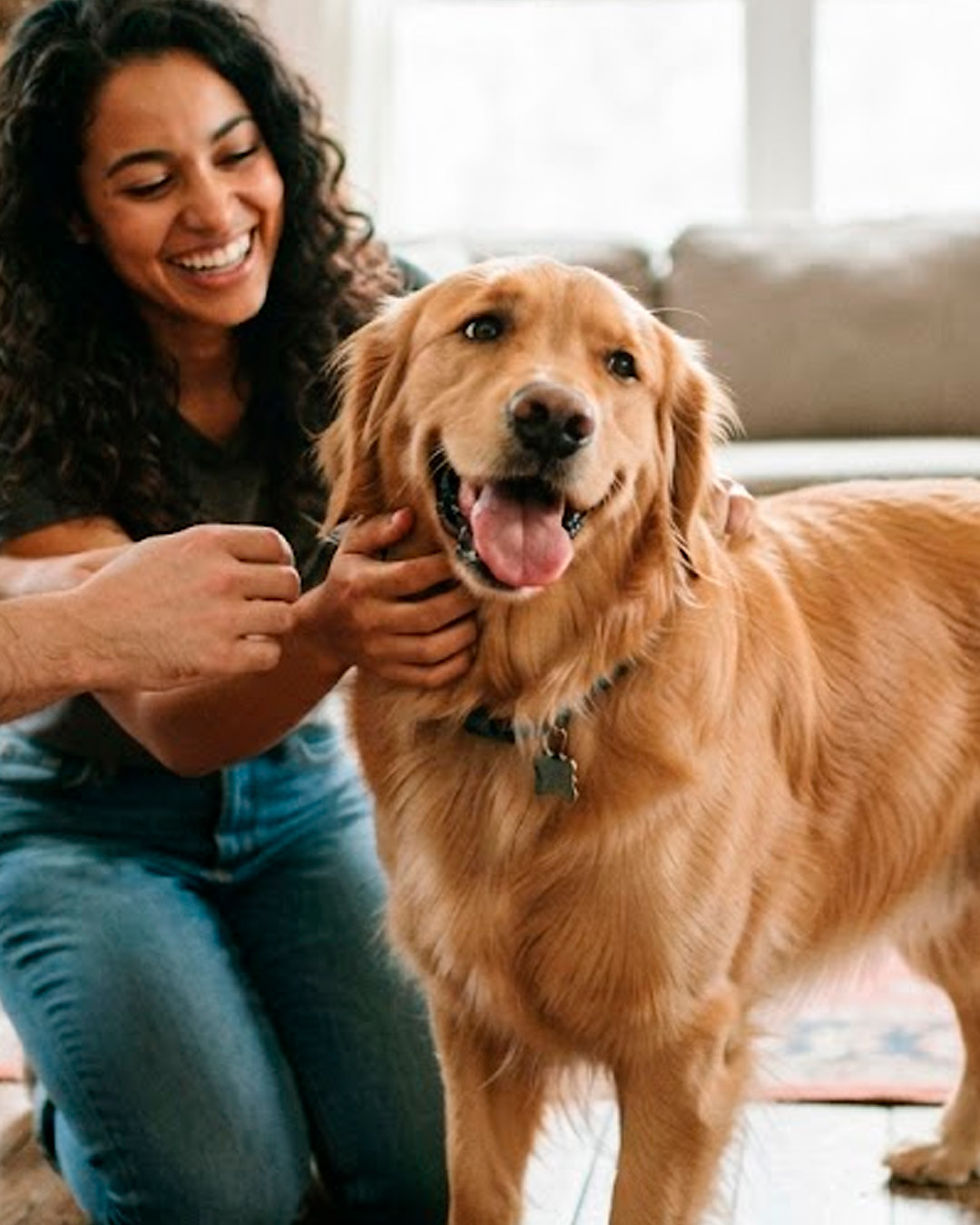 Perro conviviendo con personas