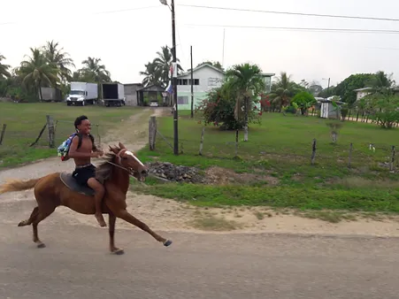 20190510_165712.webp
