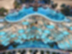 Couture_by_Cavalli-Gallery-16