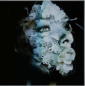 image (2).png