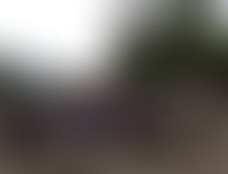 Победители районного этапа