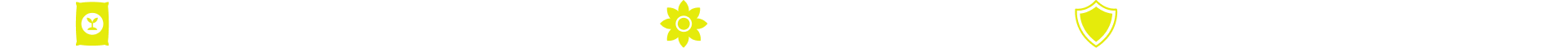 Frame 260.png