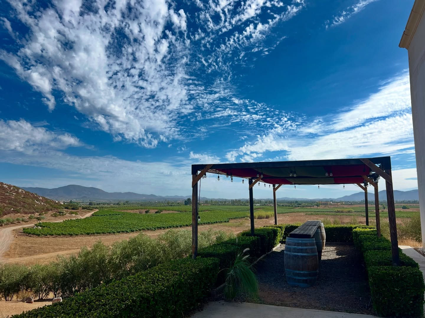  degustacion vinos, viñedos, la ruta del vino valle de guadalupe, cata cava, cata de vinos bodega, ruta del vino valle de guadalupe, vineyards in ensenada, viñedo baja california tijuana, viñedo guadalupe ensenada, viñedos de valle guadalupe, que hacer en ensenada y valle de guadalupe, vineyards valle de guadalupe, viñedo ensenada, mejores viñedos, viñedos mexico, bodega vino, bodega vinos, enoturismo, viñedos ensenada, viñedo cerca de mi, las mejores vinicolas del valle de guadalupe, viñedo valle de guadalupe, viñedo near me, viñedo en ensenada, valle de guadalupe baja california viñedos, cuantos viñedos hay en valle de guadalupe, excursion ensenada mexico, haciendas en valle de guadalupe, valle de guadalupe viñedos ensenada, viñedos para visitar en valle de guadalupeensenada mexico excursions, ensenada viñedos, los vinedos en ensenada, los viñedos ensenada, mejores viñedos en valle de guadalupe, ruta del vino ensenada valle de guadalupe, ruta del vino guadalupe, ruta del vino y queso