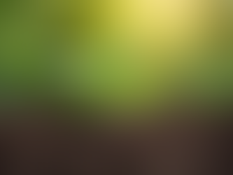 Why You Should Never Count Yourself Out