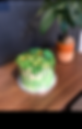 Lucky Cake 