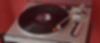 369691813_10230953596120750_2646462036235372044_n.jpg