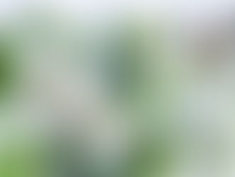 Nourish your body during times of stress