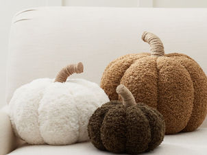 Pottery Barn Pumpkin Pillows Look for Less