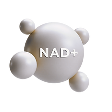 NMN NAD_edited.png