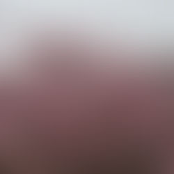 2026.3月柿生教室ピアノ•リトミック若干名募集再開致します♪