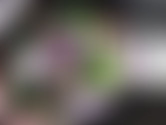 母のピアノ教室発表会へ