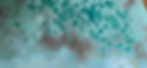 4CF5EF9C-C663-4C6D-B631-0B1FC0F94EF9 copy.jpg