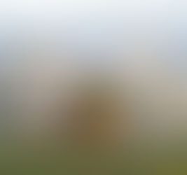 Redonner Dignité et Noblesse au Service Public Haïtien