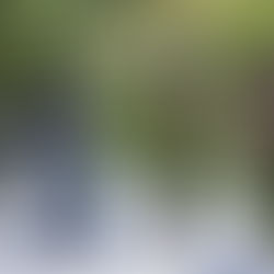 Haiti : La CARICOM alerte sur une menace de coup d'État et appelle à une mobilisation internationale