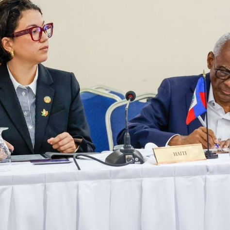 Dominique Dupuy : Au-Delà de ses Limites