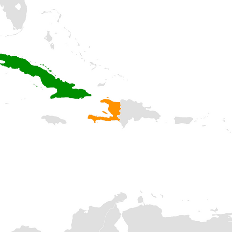 Haïti remercie Cuba pour son appui médical