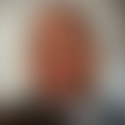 Gary Conille- Nesmy Manigat, incompétence et banditisme