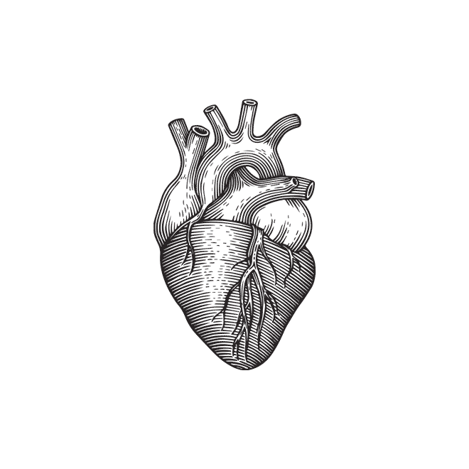 heart_mov.gif