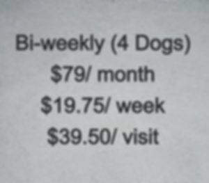 Bi-weekly (4 Dogs)
