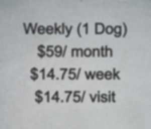 Weekly (1 Dog)
