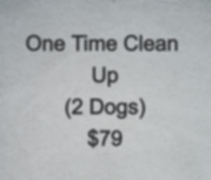 One Time Clean Up (2 Dogs)